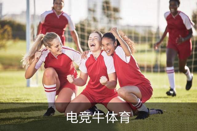 电竞牛体育公司简介